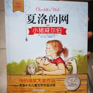 夏洛的网——小猪威尔伯