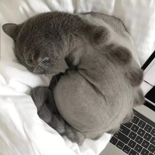 普通话练习1316王德凯