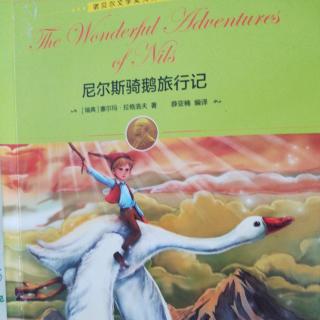 尼尔斯骑鹅旅行记14