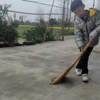 背诵一匹出色的马肖选理