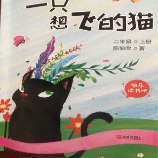 一只想飞的猫(1)