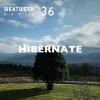 Beatween Radio 36 - Hibernate