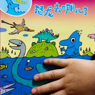 水先生之恐龙去哪儿了?
