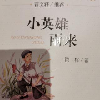 《小英雄雨来》5.30