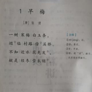 《早梅》作者:张谓(唐)