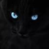 黑猫