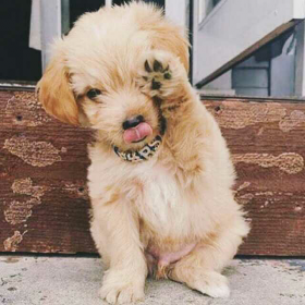 349-351贯彻顾客至上主义