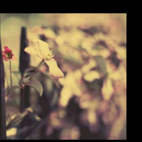 音标 \/o\/|语言学习|儿童语言故事|英语|少儿英语