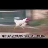 张泽熙 - 那个女孩