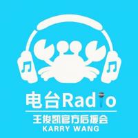 王俊凯官后Radio
