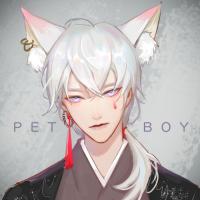 CV-Petboy