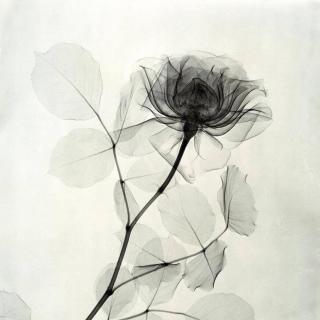 在你睡前,陪你聊聊天,聊聊自己,聊聊人生,祝你入眠.