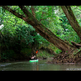 亚马逊丛林历险记电影图片