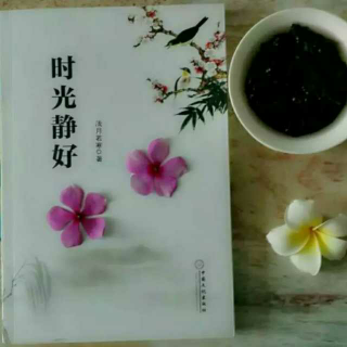 时光静好/浅月若寒