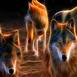 狼群— 刺血(中)