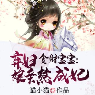 贪财宝宝：弃妇娘亲熬成妃 024 逮着入宫