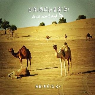 【时光的声音】Vol.124 沙漠，骆驼，和生活--古一