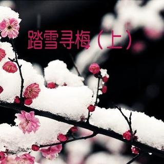 踏雪寻梅（上）-落草朗诵