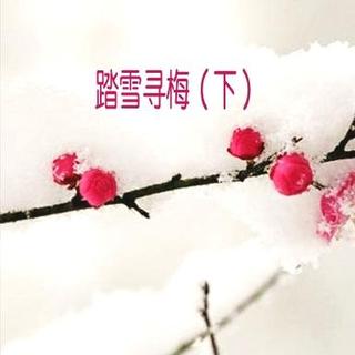 踏雪寻梅（下）-落草朗诵