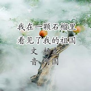 我在一颗石榴里看见了我的祖国