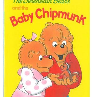 (VOL.038)The Berenstain Bears_The Baby Chipmunk