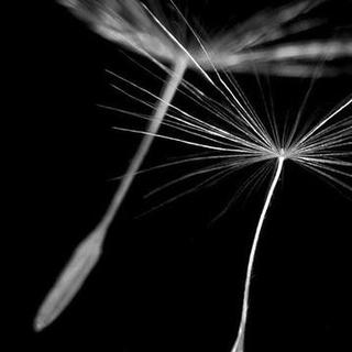 130326-黑风-海子-周予沫