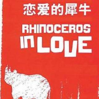 03.Rhinoceros In Love恋爱的犀牛