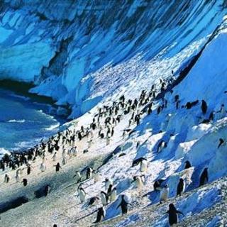 【思琪闯南极】南极介绍 Introduction of the Antarctica