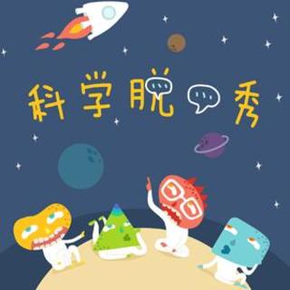 No.87今天，你的鸟愤怒了么