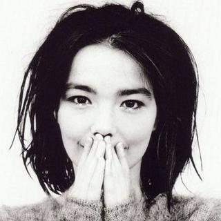 009：Bjork（上）