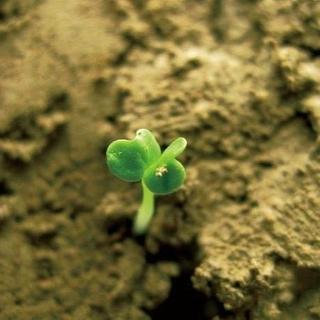 【初夏蜕变新生】冲击疗法密集调理第一季!