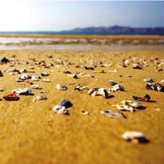 [麒麟冲浪]海岸垃圾占地，六部门提皮球，以及后续报道