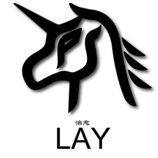 LAY☆20120411搜狐访谈
