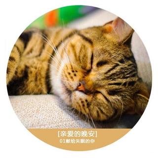 亲爱的晚安：01 / 献给失眠的你