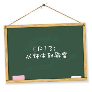 EP13：从野生到殿堂