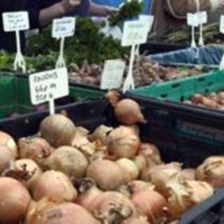 地道英语：To know your onions 精通某事