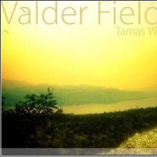 如阳光般温暖--valder fields