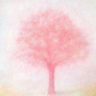 《一棵开花的树》——田宇华，贾婷