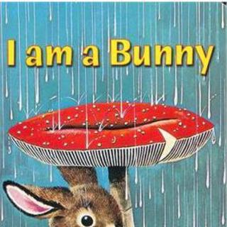 I am a Bunny