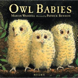 Owl Babies