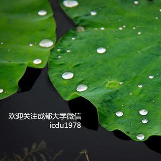 毕业季特别节目（二） 主播:暮光