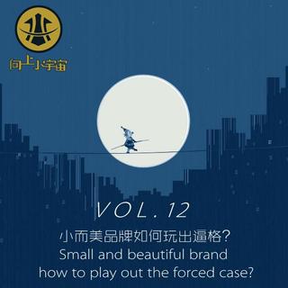 VOL.12  电商小而美如何玩出逼格？·创业FM