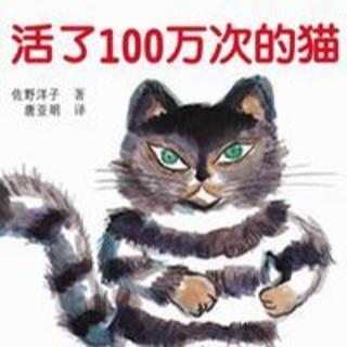 活了100万次的猫