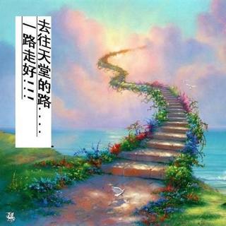 宝贝，一路走好【特别制作】