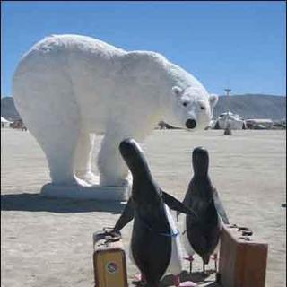 冰箱里的企鹅