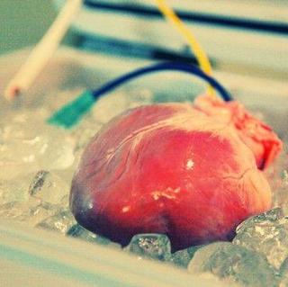 盒子里跳动的心脏-让捐赠器官活在体外
