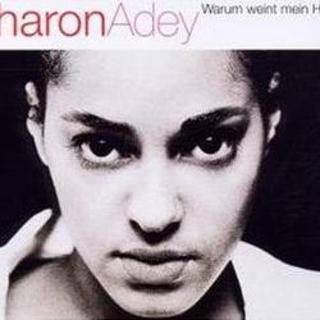 德语好歌曲02- 为何我的心在哭泣 Sharon Adey