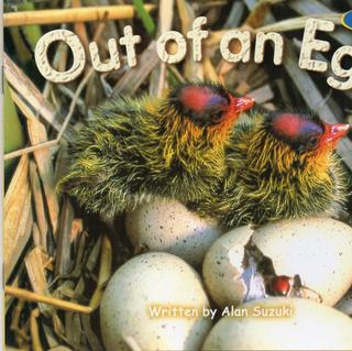 Out of an Egg (Kites 3)