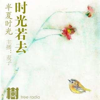 【半夏时光】- 时光若去，后悔无期 - NJ麦子