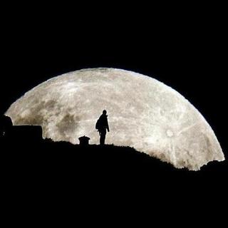 《今夜去看看月亮吧》    王海桑